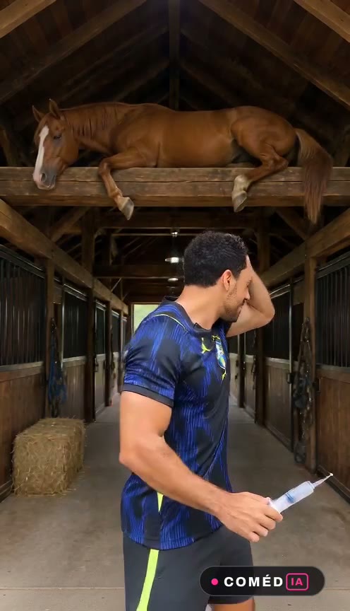 Cavalo Escondido