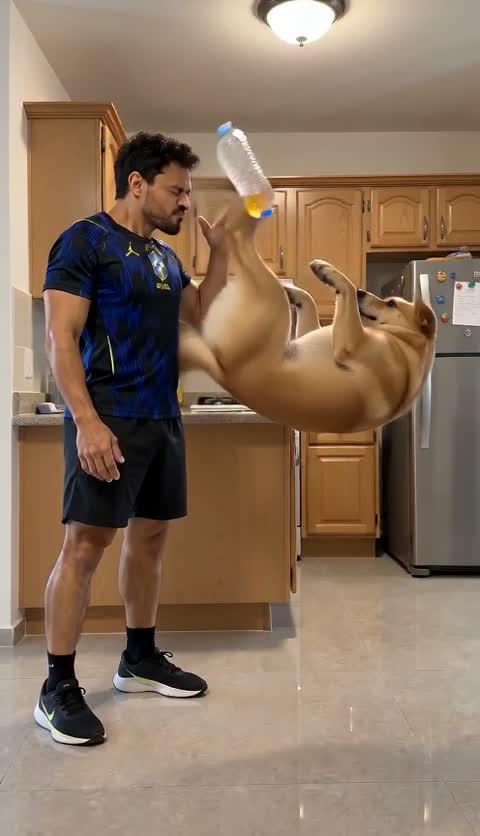 O Chute do Cachorro